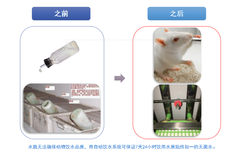 自動(dòng)飲水系統(tǒng)在實(shí)驗(yàn)動(dòng)物行業(yè)的應(yīng)用