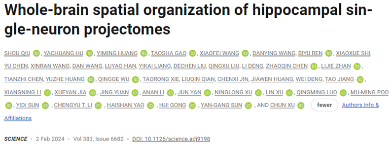 Science：我國科學(xué)家揭示小鼠海馬體單神經(jīng)元全腦投射原理